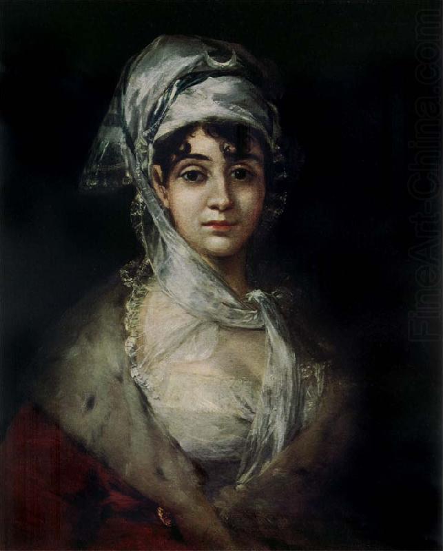 Francisco de goya y Lucientes Portrait of antonia zarate china oil painting image